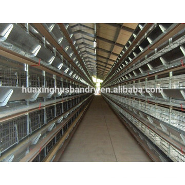 large-scale automatic algeria chicken cage house